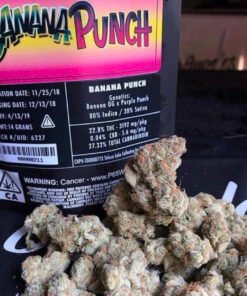 Banana Punch Jungle Boys