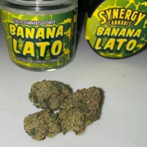 Banana Lato indica