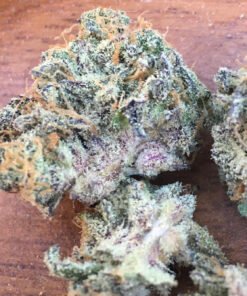 Sherbert x Country Club