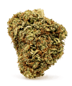 CBD Flower Cakeberry Brûlée