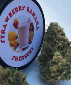 Strawberry Banana Sherbert (3.5 grams)