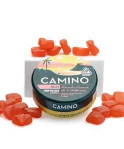 Camino Delta 9 THC Bliss Gummies – Watermelon Lemonade