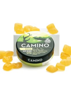 Camino Delta 9 THC and CBD Social Gummies – Sparkling Pear