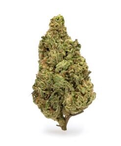 THCa Flower Acapulco Gold