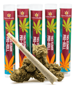 THCa Flower Pre-Roll Cereal Milk