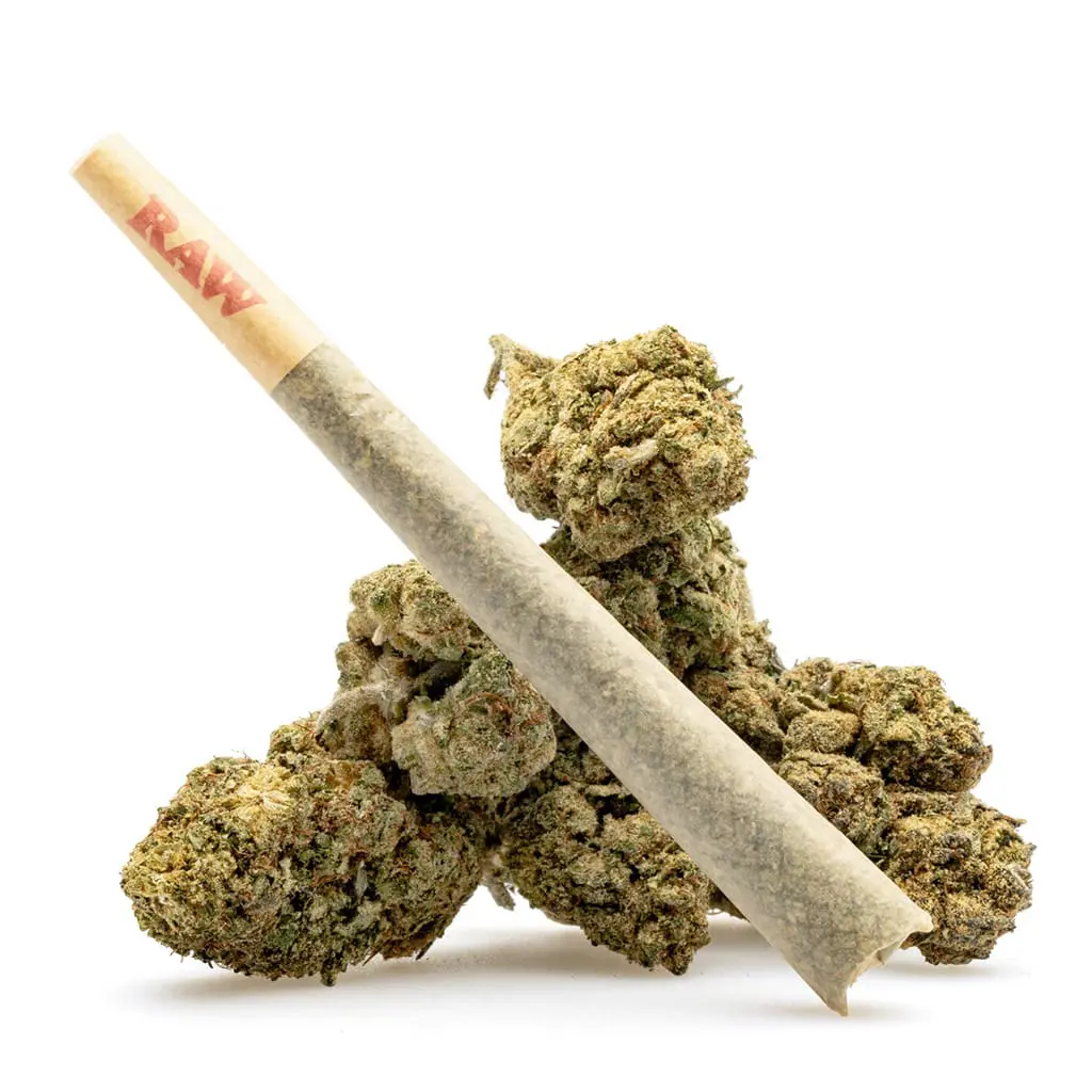 THCa Flower Pre-Roll Pineapple Express - Image 3